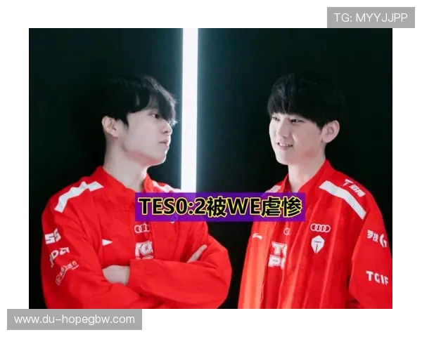 赛后分析：TES与WE在团队协作中的优劣势对比与启示