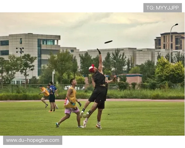 飞盘运动的崛起与吴丽的成功经验分享