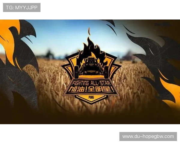 Danawa电子竞技战队绝地求生全面分析与战术演绎探讨 Danawa电子竞技战队绝地求生全面分析与战术演绎探讨