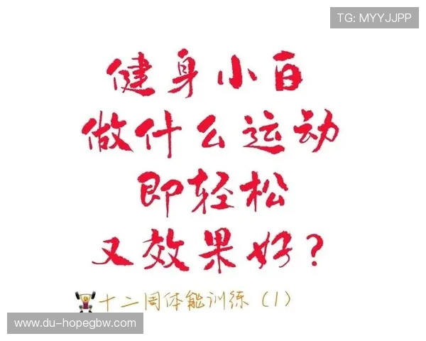 全面提升体能与健康 打造科学健身计划的实用指南