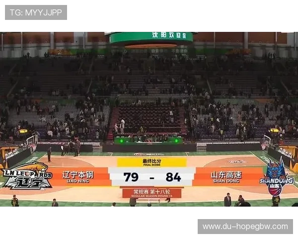 CBA广东队与辽宁队激战正酣赛场精彩瞬间回顾与分析