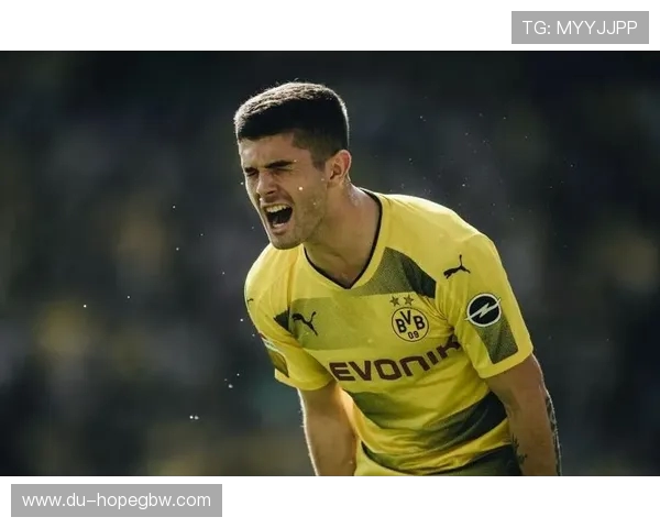 京多安的足球之路：从青训新星到世界级中场的辉煌历程